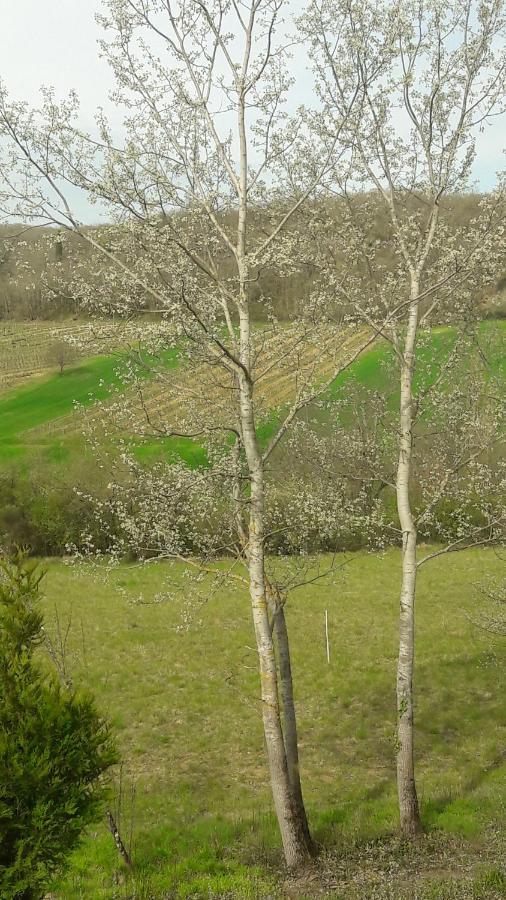 Saint Paul de Loubressac Taillefer Bed & Breakfast エクステリア 写真